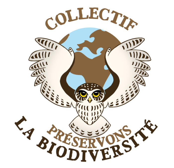 Couvent De Saint Jean De Bassel Les Residents 24