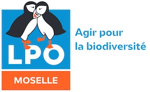 Couvent De Saint Jean De Bassel Tiers Lieu 54